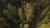 High Angle View Of Mountain Road Amidst Trees In Redwood Forest