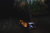 Rally of the Tests 2021