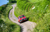 summer_trial-2016-2200px15