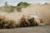 How to go Historic Rallying