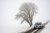 Winter Challenge to Monte-Carlo 2023