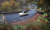 rott4461_phRastrelli