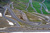 Pirelli Marathon Classci Rally 2013