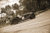 2017-royal-automobile-club-1000-mile-trial-2200px-302