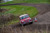 RAC Rally of the Tests 2019 - Event Preview